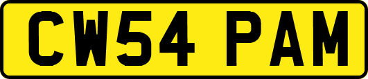 CW54PAM