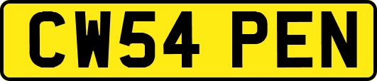 CW54PEN