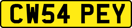CW54PEY