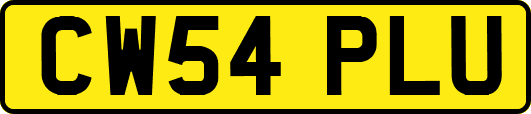 CW54PLU