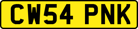 CW54PNK