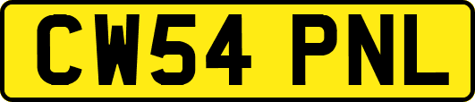 CW54PNL