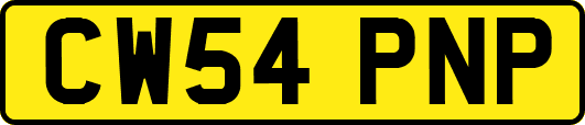 CW54PNP