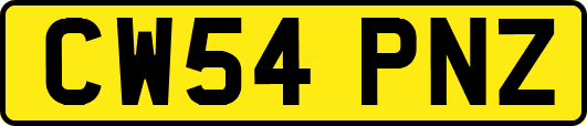 CW54PNZ