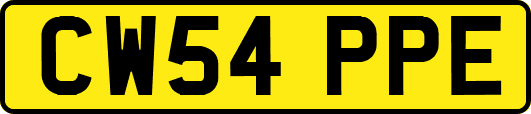 CW54PPE