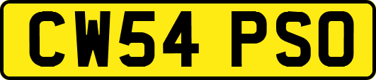 CW54PSO