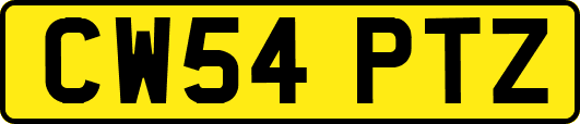 CW54PTZ