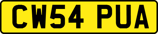 CW54PUA