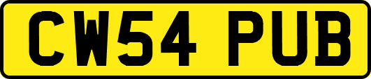 CW54PUB