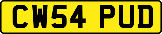 CW54PUD