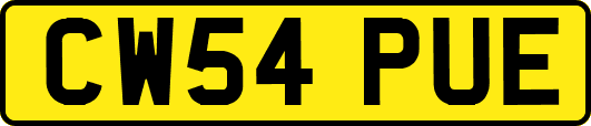 CW54PUE