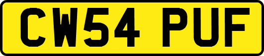 CW54PUF