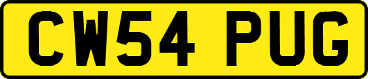 CW54PUG