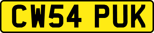 CW54PUK