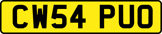 CW54PUO