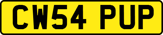 CW54PUP