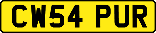 CW54PUR