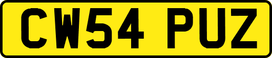 CW54PUZ