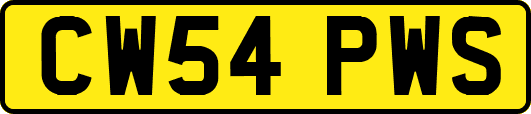 CW54PWS