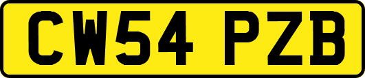 CW54PZB