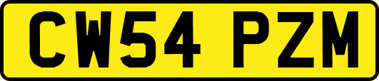 CW54PZM