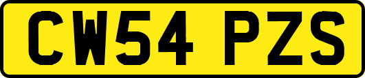 CW54PZS