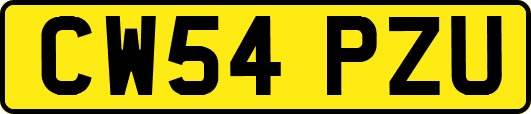 CW54PZU