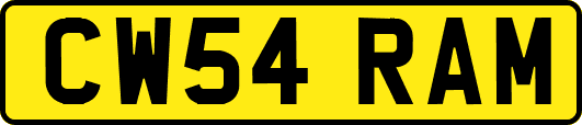 CW54RAM