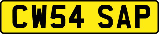 CW54SAP