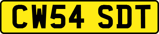 CW54SDT