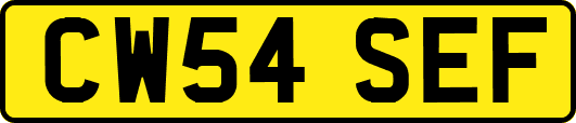 CW54SEF