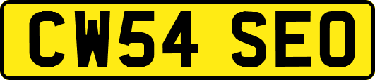 CW54SEO