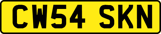 CW54SKN