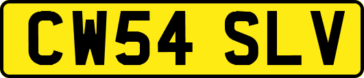 CW54SLV