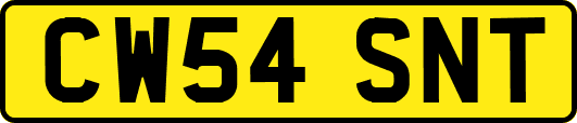CW54SNT