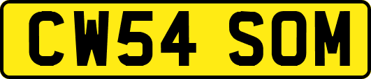 CW54SOM