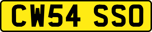 CW54SSO