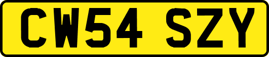 CW54SZY