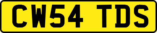 CW54TDS