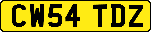 CW54TDZ