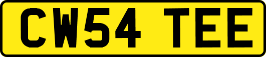 CW54TEE