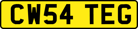 CW54TEG