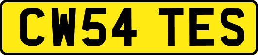 CW54TES