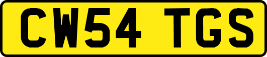 CW54TGS