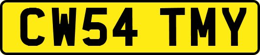 CW54TMY
