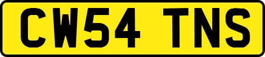 CW54TNS