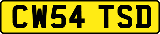 CW54TSD