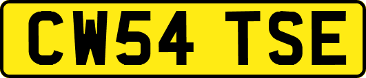 CW54TSE
