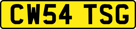 CW54TSG