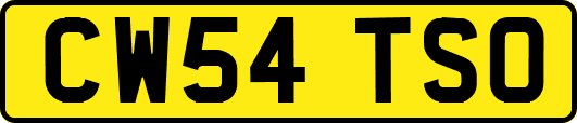 CW54TSO